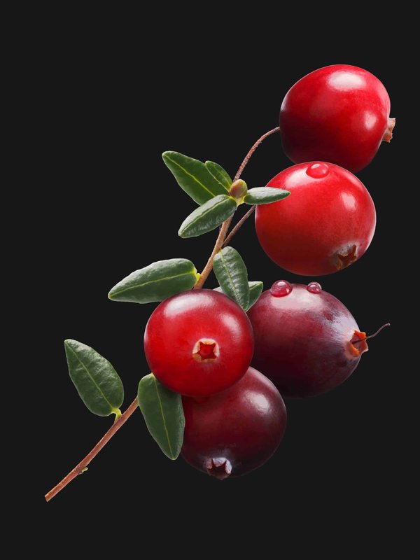 What's the Best Way to Layer Rugs in a Large, Open-Plan Living Area?