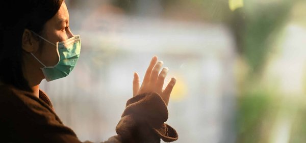 What's the Best Way to Set Up a Quarantine Area for a Sick Bird in a Multi-Bird Household?