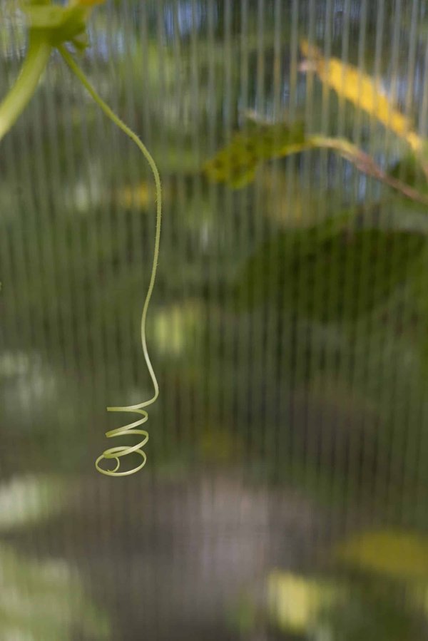 What Are the Best Strategies for UK Businesses to Adapt to Rapid Technological Changes?